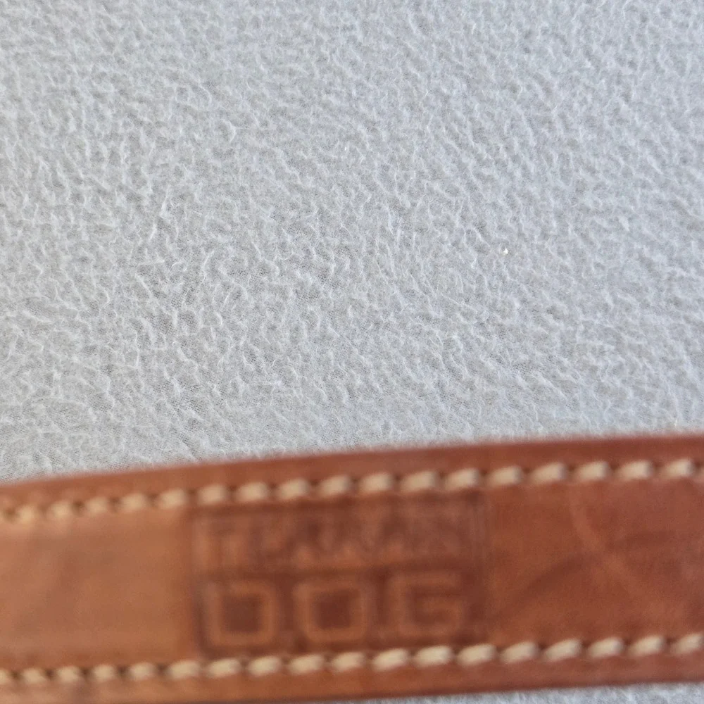 Terrain D.O.G. Leather Dog Collar Unisex 23